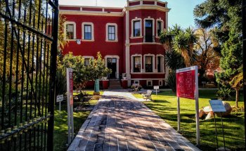 Múseo de Arte Moderno: Guillermo Ceniceros