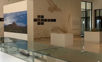 Museum für Archäologie und Geschichte von El Chamizal