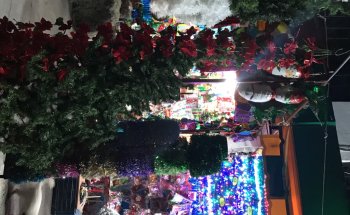 Artículos de temporada