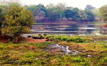 Laguna Piquetierra