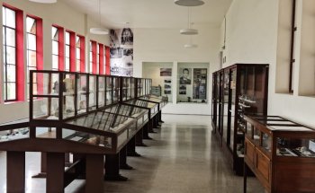 Museo de Mineralogía