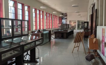 Museo de Geociencias