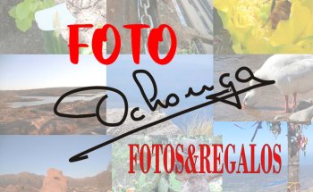 Foto ochonga