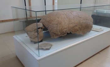 MAHM Museo Archivo Histórico Municipal Don Santos Tosticarelli
