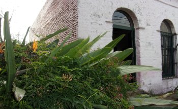 Museo Casa Ameghino