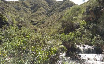 Puesto de Don Abrahan