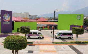 La Avispa Museo Interactivo