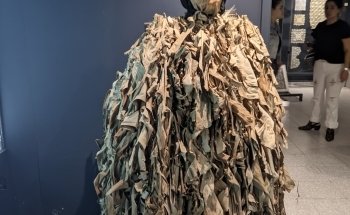 Fundación Migliorisi