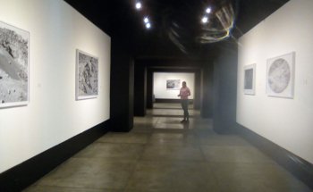 Museo Fernando Del Paso
