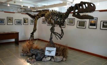 Museo de Ciencias Naturales Vicente Di Martino