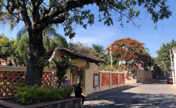 Jardín Etnobotánico y Museo de Medicina Tradicional