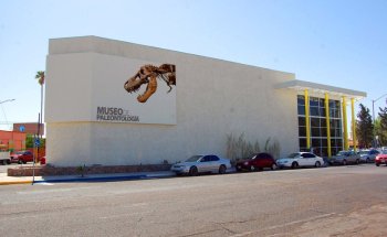 Museo de Paleontología de Delicias