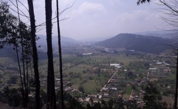 Tocogua