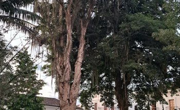 Escultura Francisco Jose De Caldas