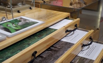 Museo Provincial de Ciencias Naturales 'Florentino Ameghino'
