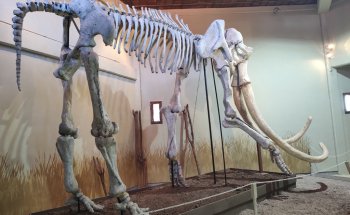 Museo Ecoturistico