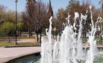 Area Fundacional