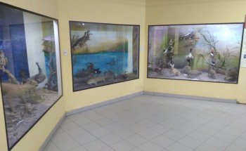 Museo Regional Joaquin V. Gonzalez