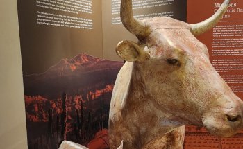 Museo del Vaquero de las Californias