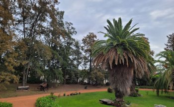 Museo Del Ladrillo
