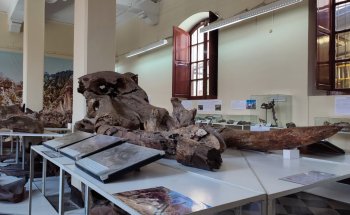 Museo Nacional Paleontológico Arqueológico