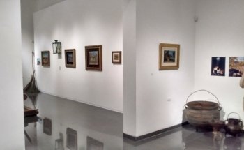 Museo de Bellas Artes Octavio de la Colina