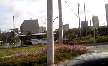 Plaza Del Paseo Bolivar Con Carrera 46