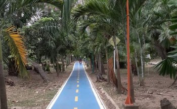 Parque Lineal La Primera