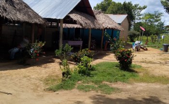 ICA Institución Agropecuaria Colombiana