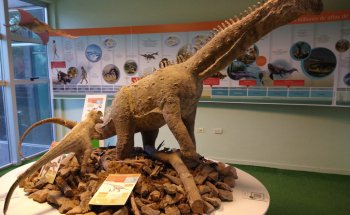 Museo de las Ciencias