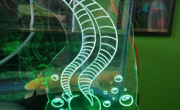 Museo del Ajolote - Ajolotario Miquiztli Xolotl Pachuca