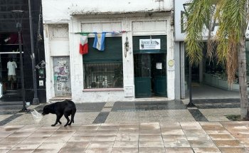 Museo Itinerante del Mate