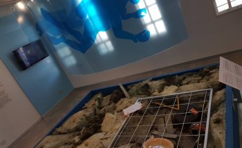 Museo Municipal Mario Brozoski