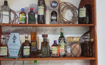 Museo de la Balsámica