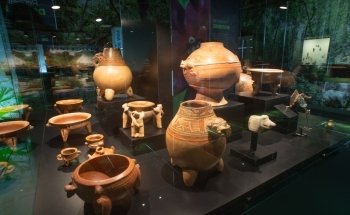 Museo del Jade