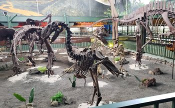 Museo de Ciencias Naturales La Salle