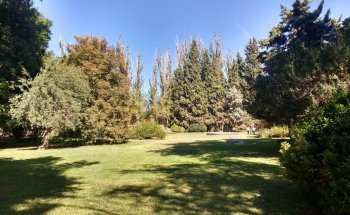 Museo Parque - Colección Suero