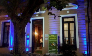 Museo Paleontológico