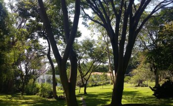 Finca Campestre El Olindo