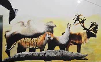 Museo de Historia Natural Luis Gonzalo Andrade