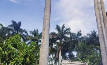 Plaza de los Mártires