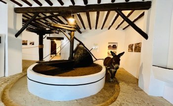 Museo de la Cultura del Olivo