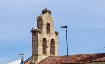Centro de Interpretación del León Judío y del Camino de Santiago