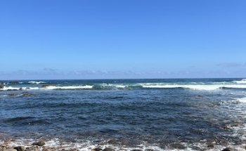 Surf Spot Baía dos Juncos