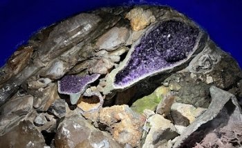 Exposición Secretos de la Naturaleza