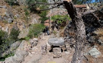 Fósiles de rastro de Penha García