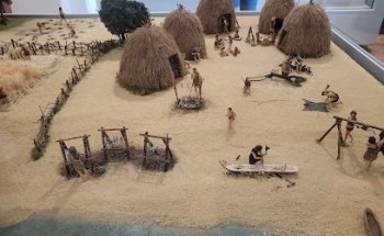 Museu de Arqueologia de Alvalade