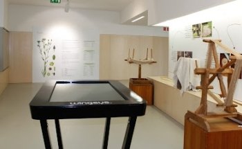 Museo del Lino