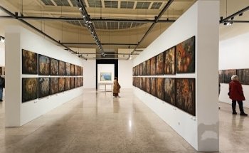 Sociedad Nacional de Bellas Artes