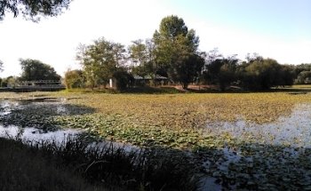 Lagoas